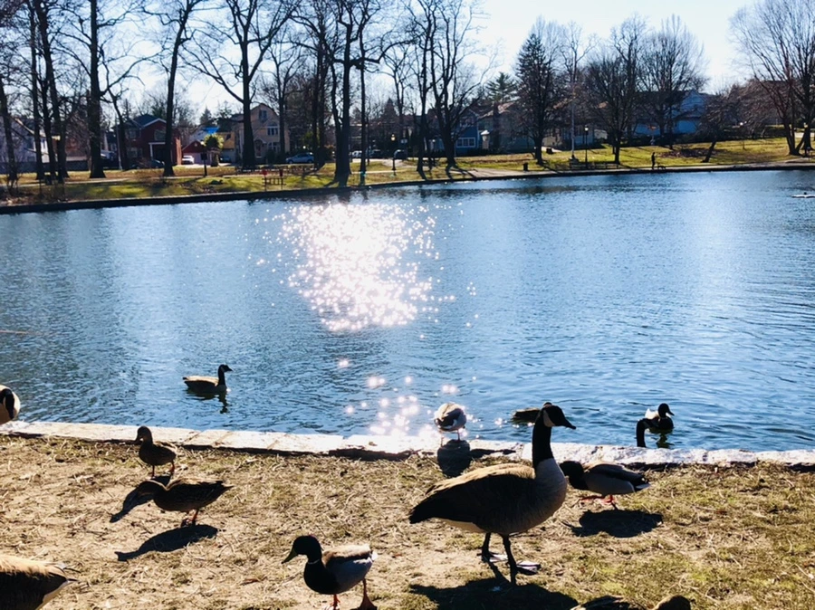 IMG_0236.jpg?type=w966