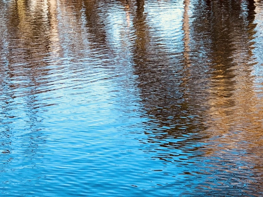 IMG_9749.jpg?type=w966