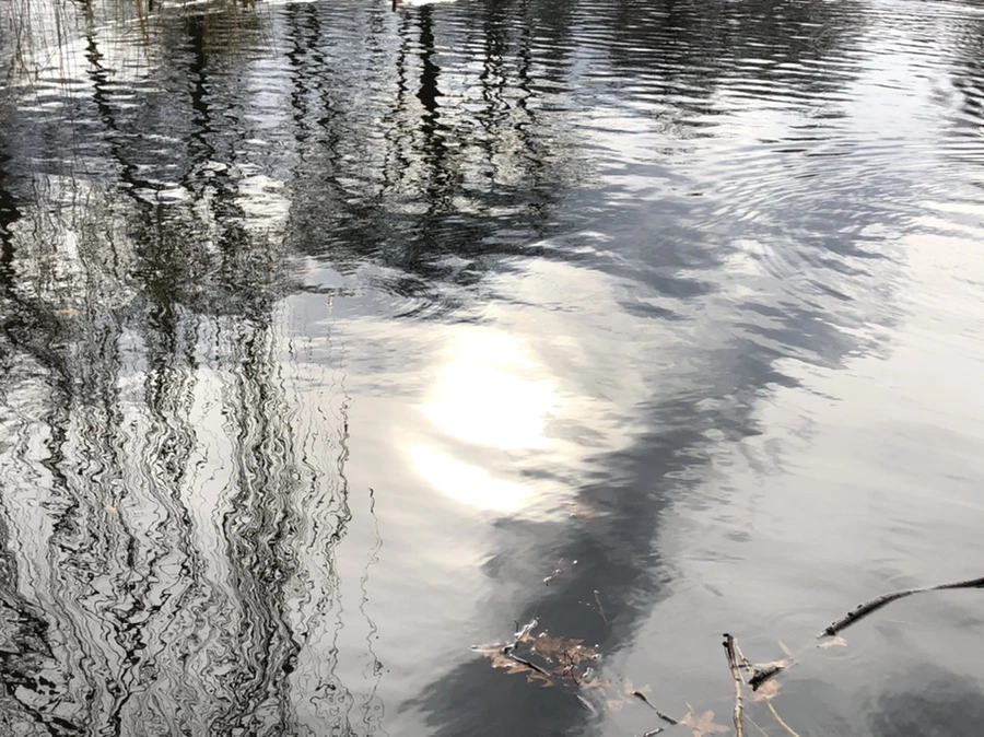 IMG_8666.jpg?type=w966