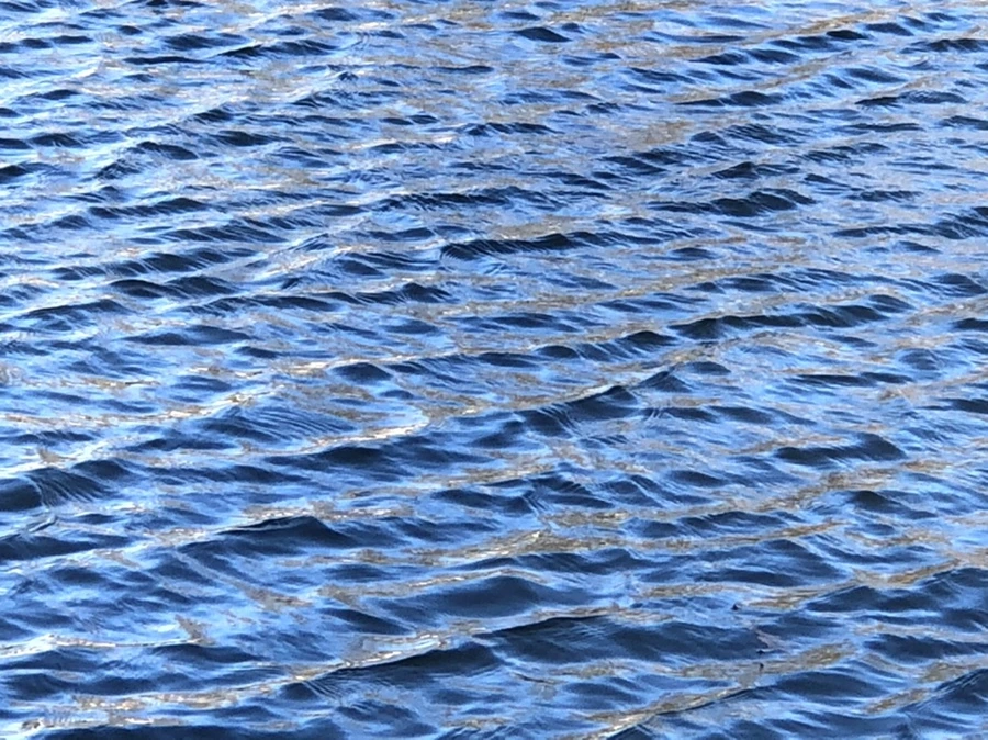 IMG_3828.jpg?type=w966