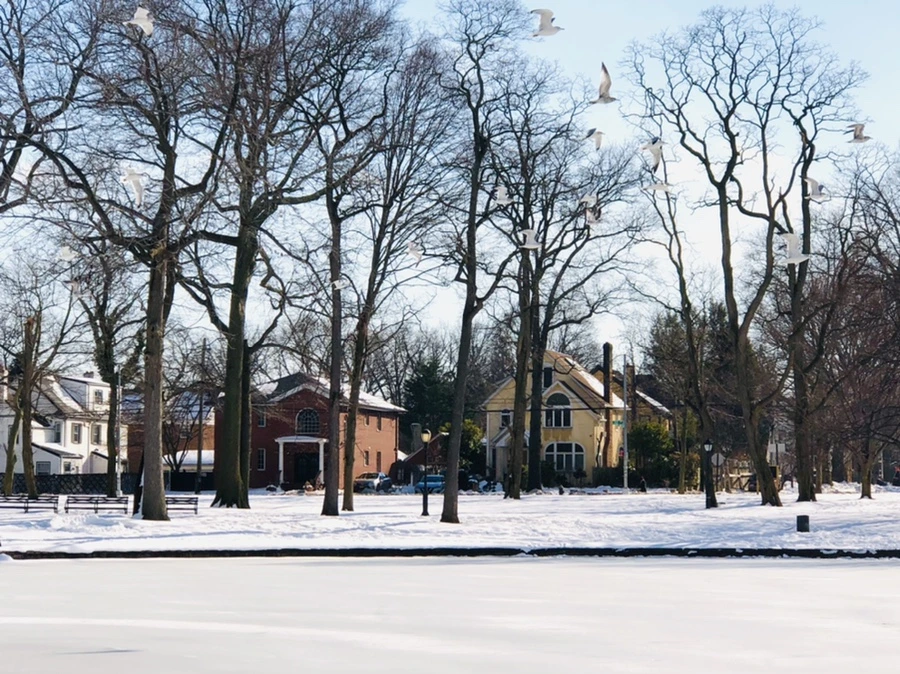 IMG_0290.jpg?type=w966