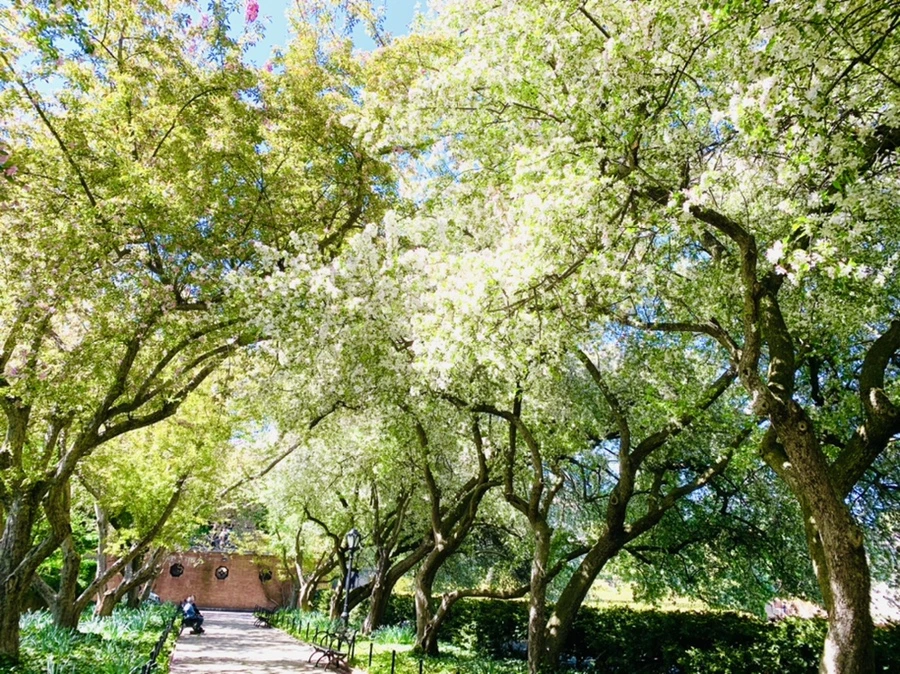 IMG_5728.jpg?type=w966