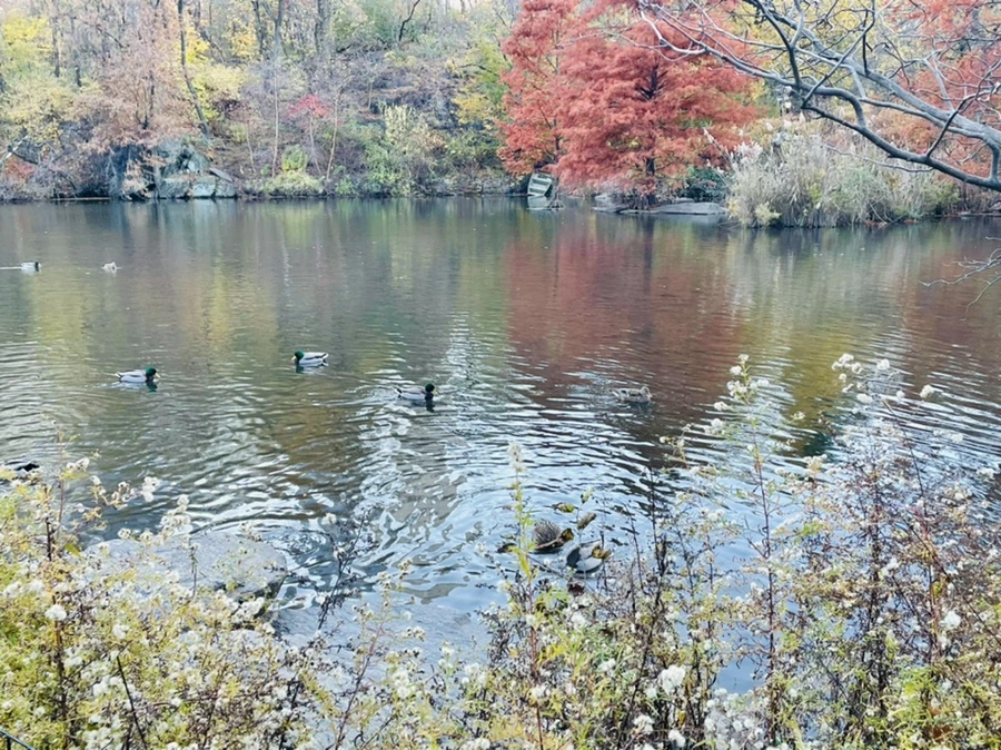 IMG_5022.jpg?type=w966