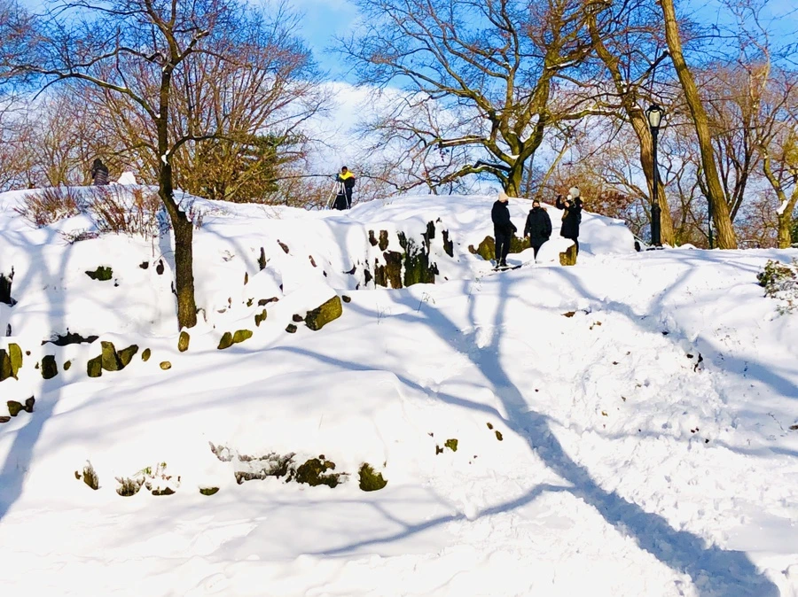 IMG_7039.jpg?type=w966