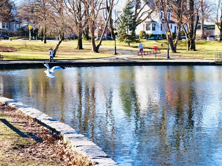 IMG_9760.jpg?type=w966