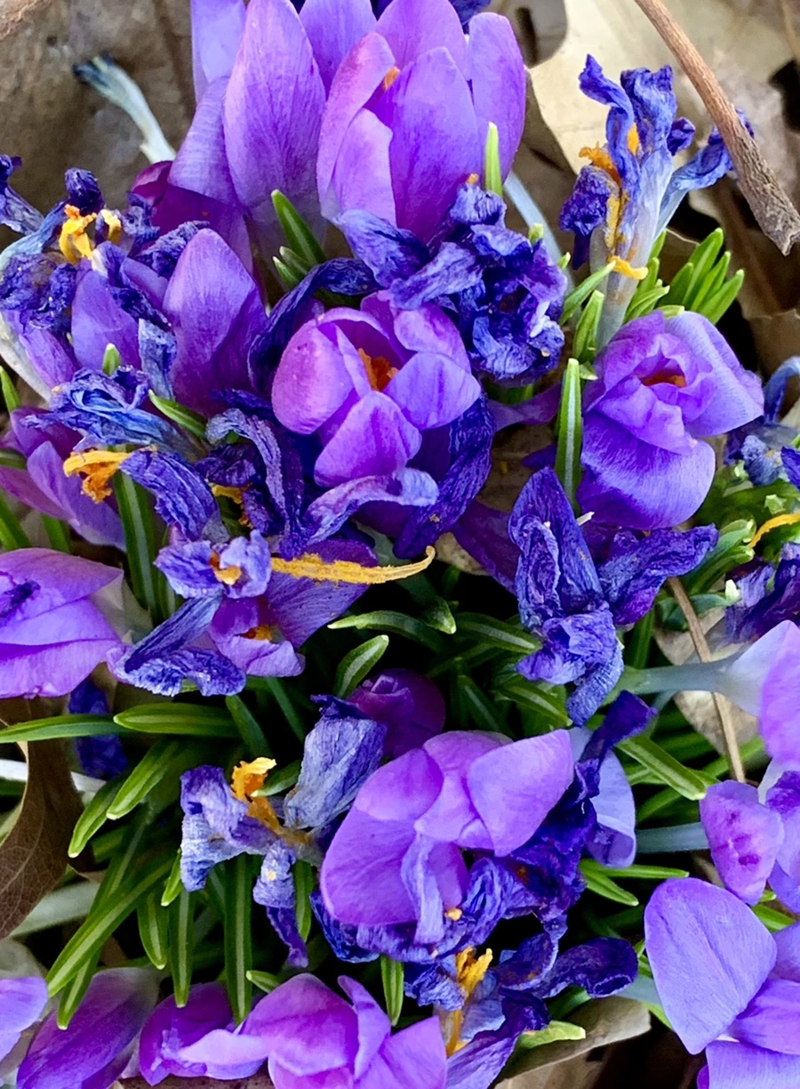 IMG_1429.jpg?type=w966