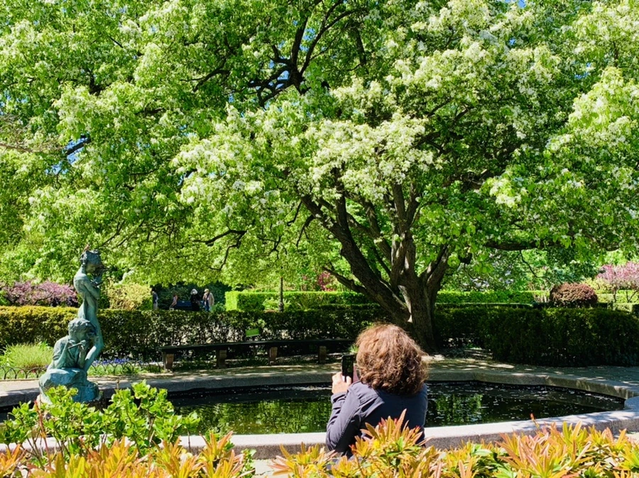 IMG_5765.jpg?type=w966