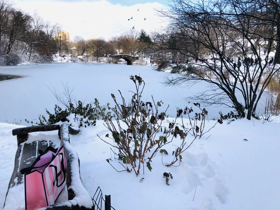 IMG_6980.jpg?type=w966