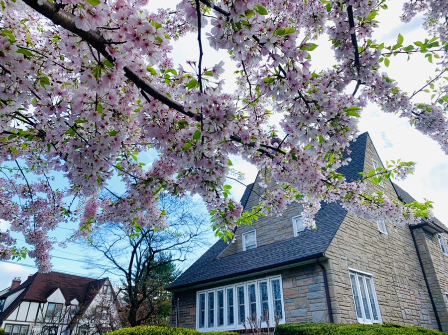 IMG_2785.jpg?type=w966