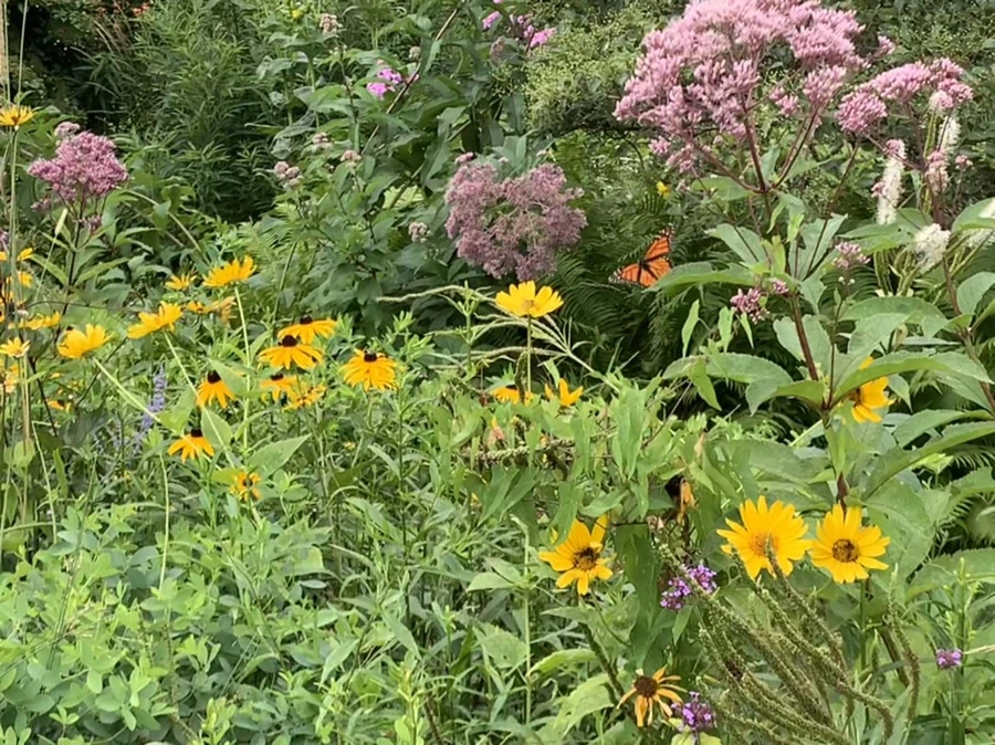 IMG_5063.jpg?type=w966