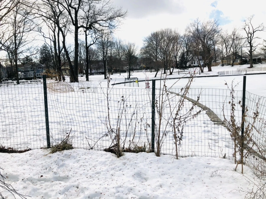 IMG_2913.jpg?type=w966