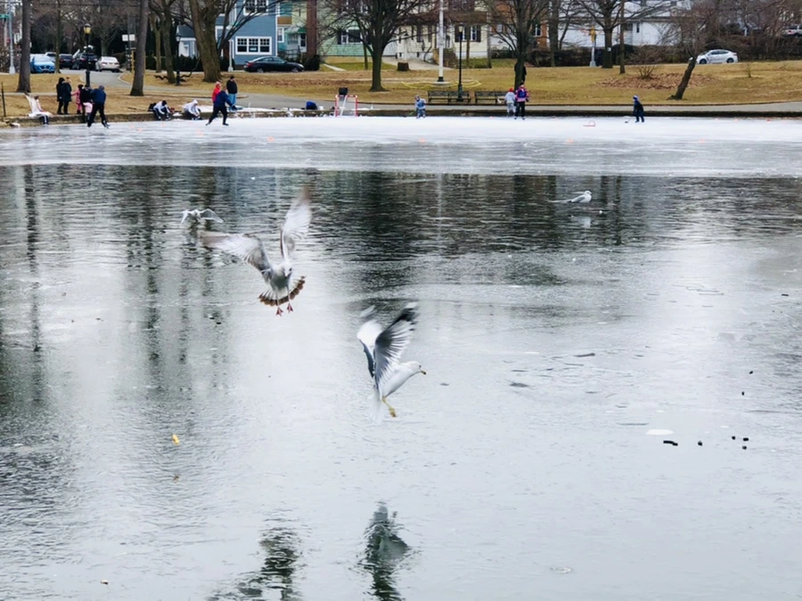 IMG_8760.jpg?type=w966