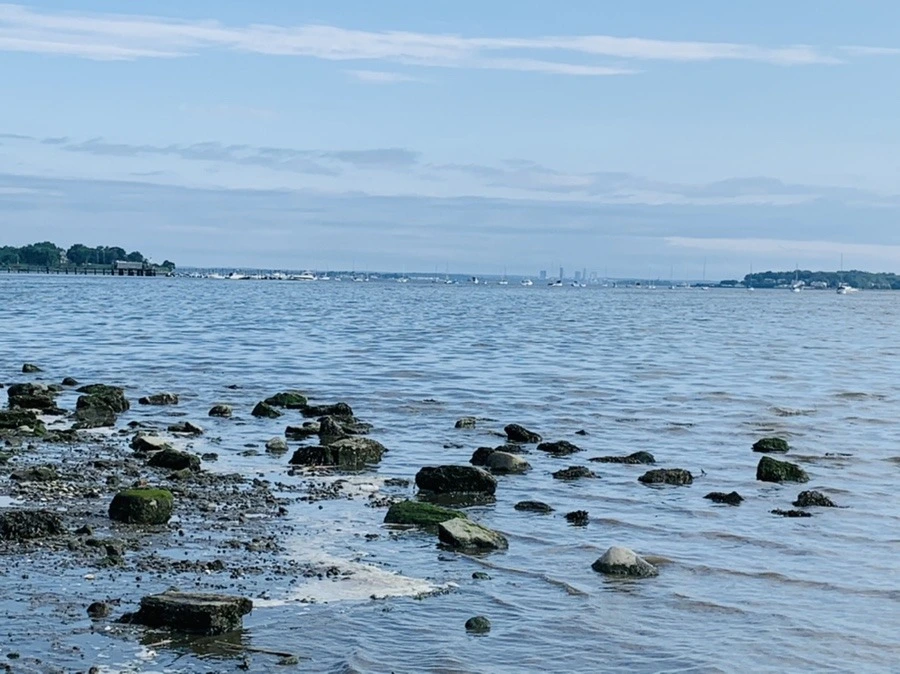 fQC6dwA6DWDxGrP7XKPim9kOB7s