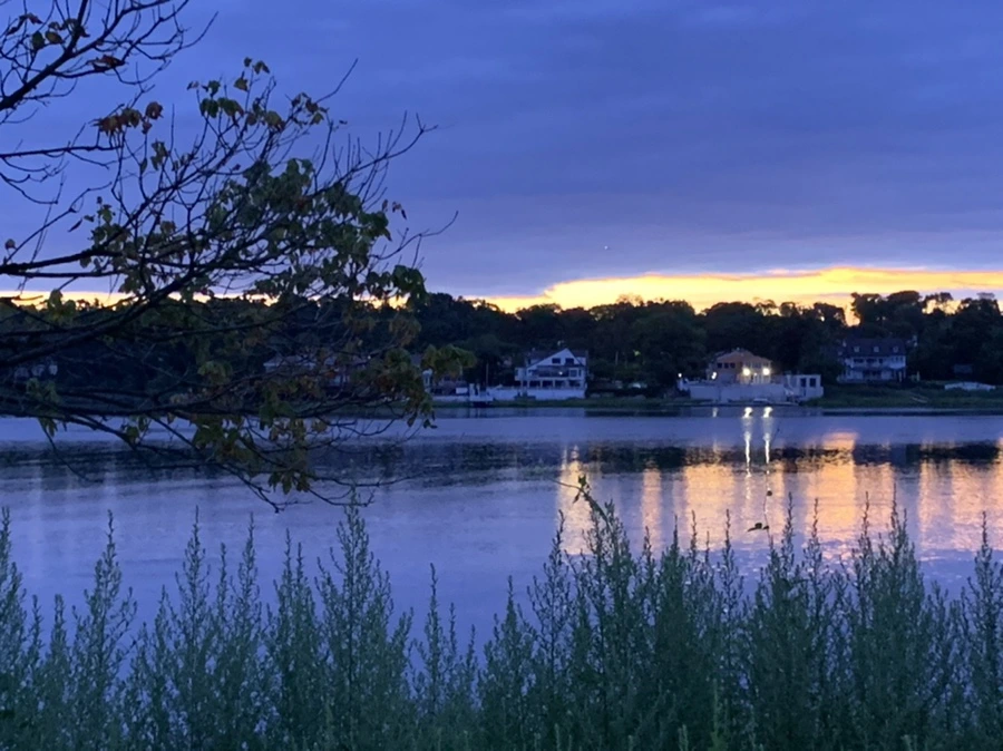 IMG_2265.jpg?type=w966