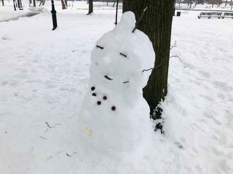 IMG_1562.jpg?type=w966