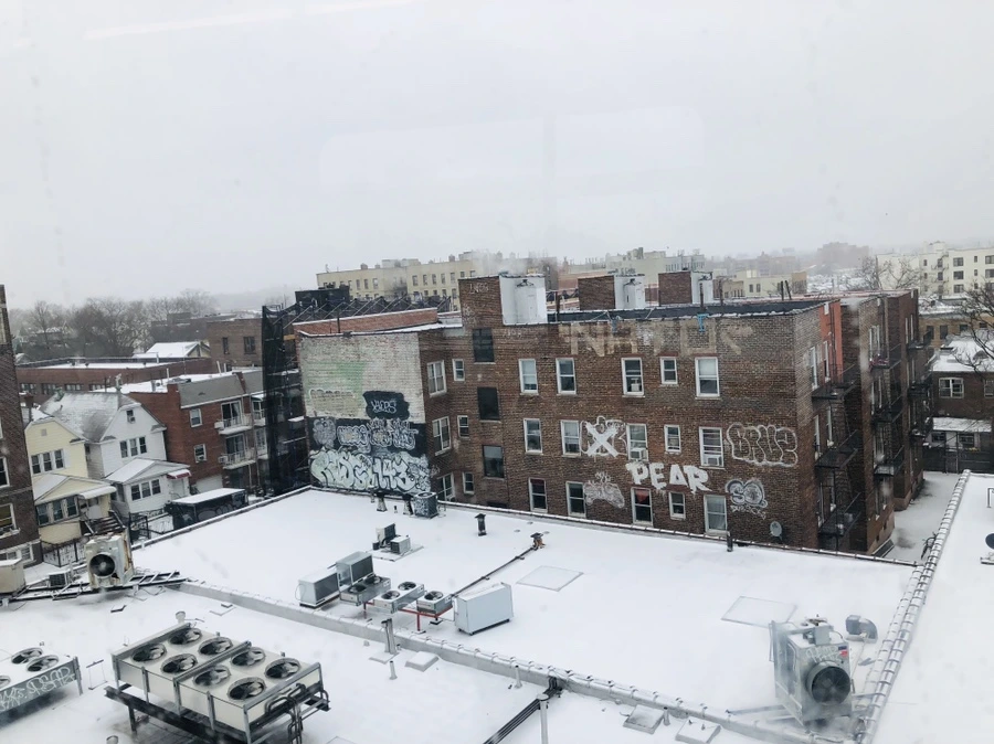 IMG_9375.jpg?type=w966