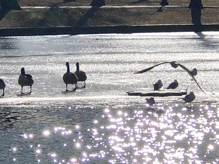 IMG_6693.jpg?type=w966