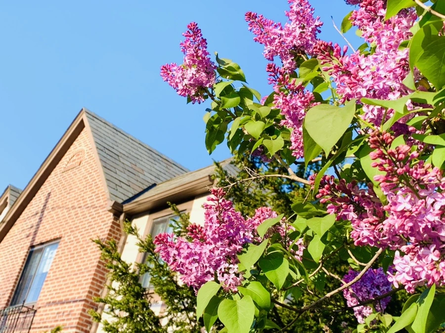 IMG_4981.jpg?type=w966