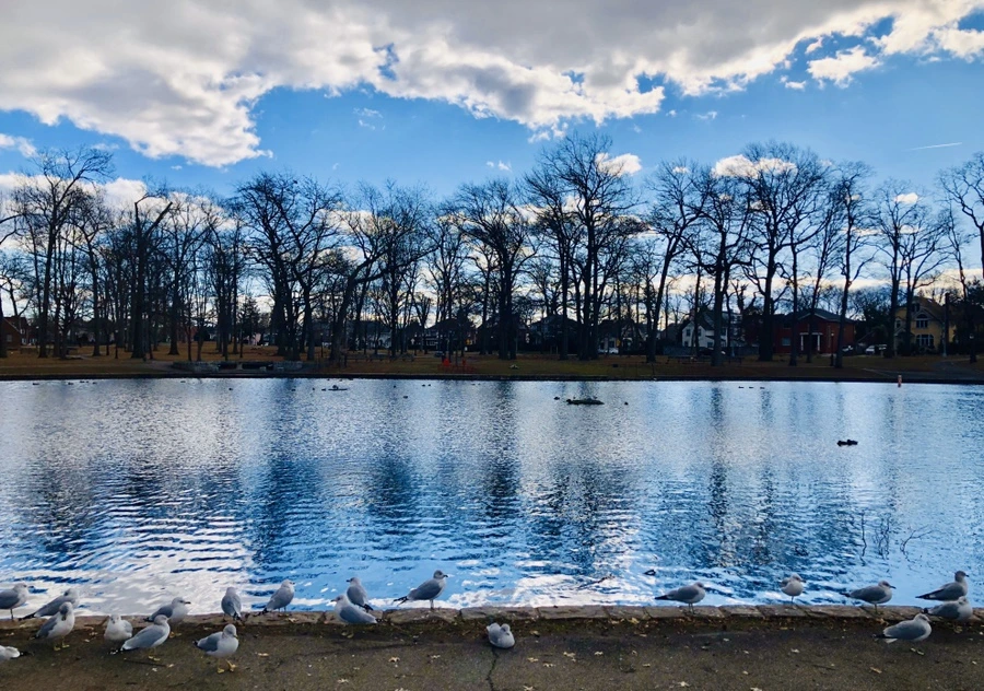 IMG_3584.jpg?type=w966