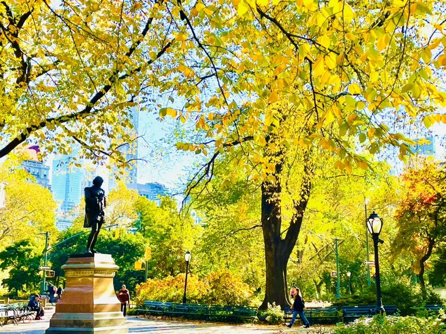 IMG_0658.jpg?type=w966