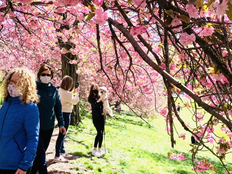 IMG_5904.jpg?type=w966