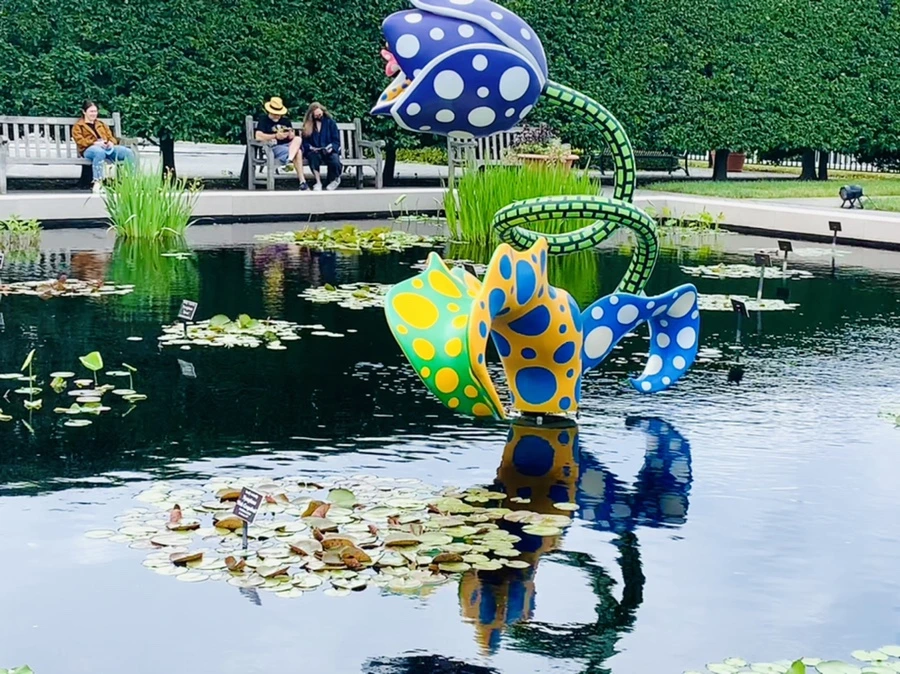 IMG_8394.jpg?type=w966