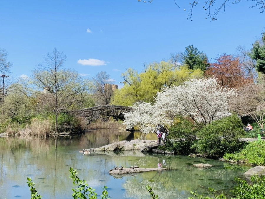 IMG_1624.jpg?type=w966