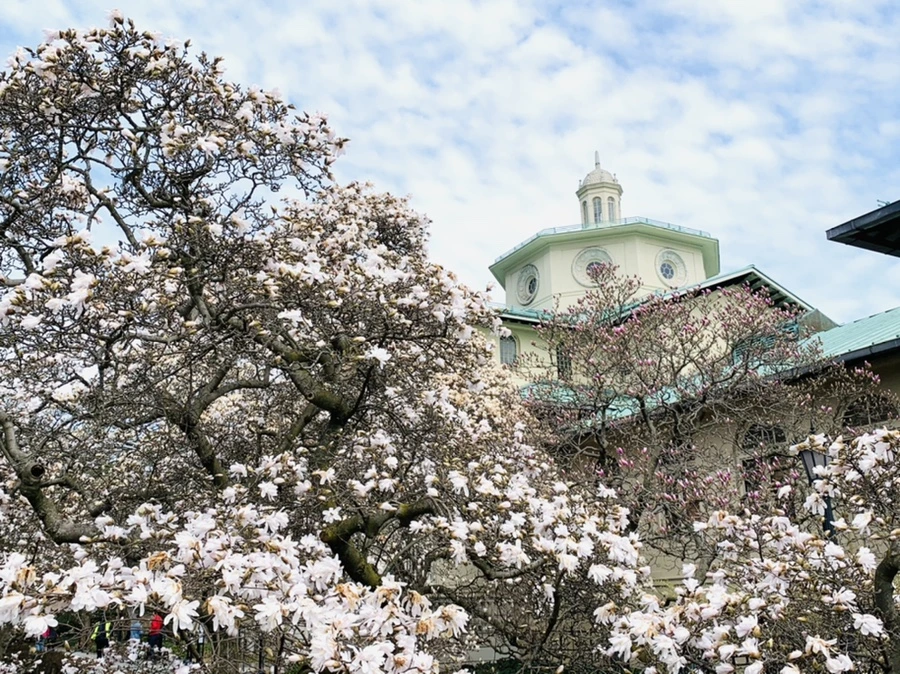 IMG_7190.jpg?type=w966