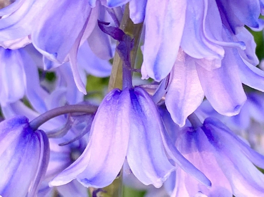 njCjH7IJd5uLECVZw_W6OFOxONs