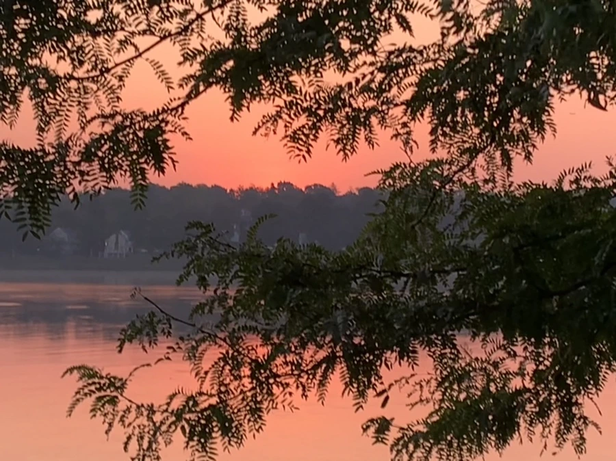 IMG_5034.jpg?type=w966