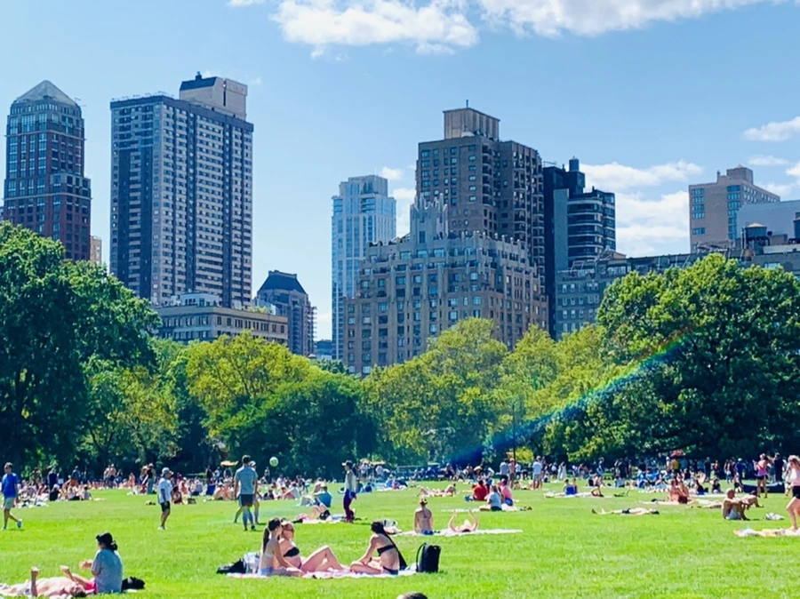 IMG_4391.jpg?type=w966