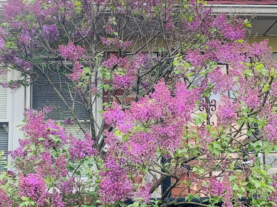 IMG_2843.jpg?type=w966