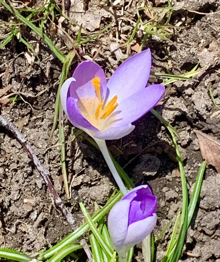 IMG_8209.jpg?type=w966