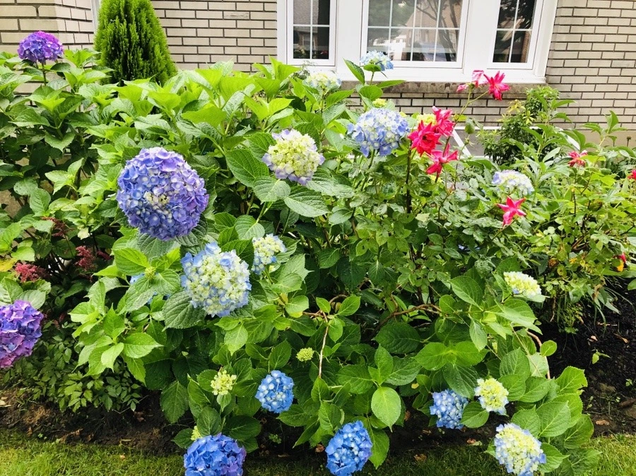 KzMcZspvxNpSbMwX4Sw7JOXmJFg