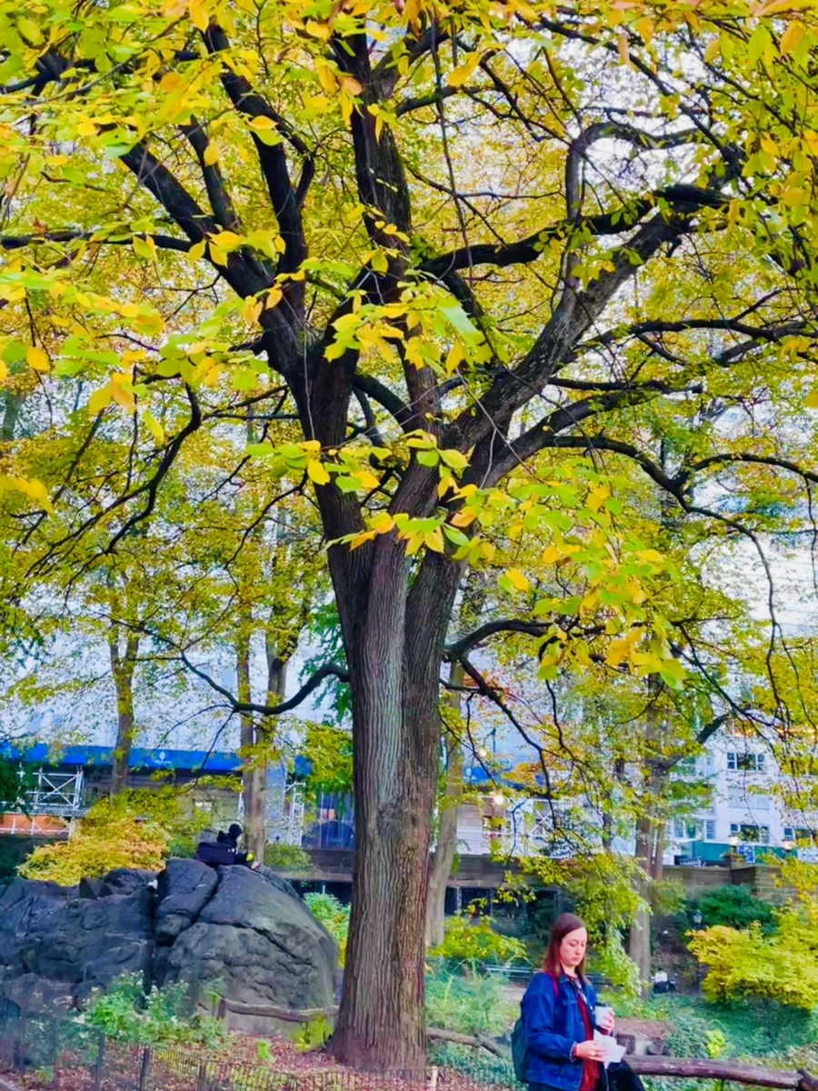 IMG_1515.jpg?type=w966