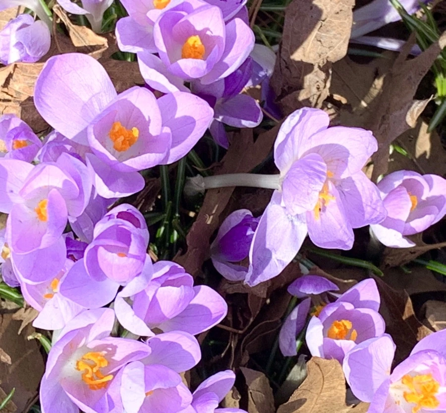 IMG_1294.jpg?type=w966