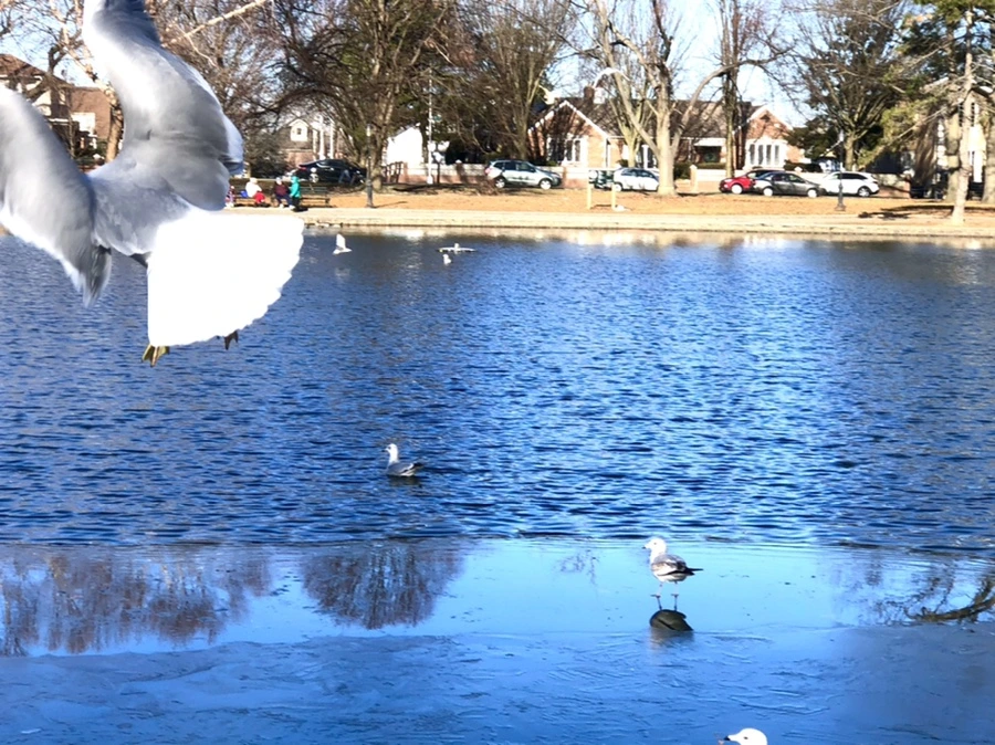 IMG_0525.jpg?type=w966