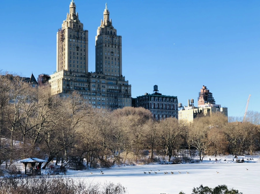 IMG_9838.jpg?type=w966