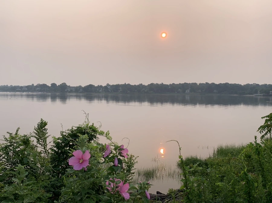 IMG_8195.jpg?type=w966