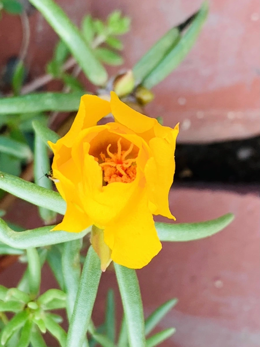 IMG_0357.jpg?type=w966