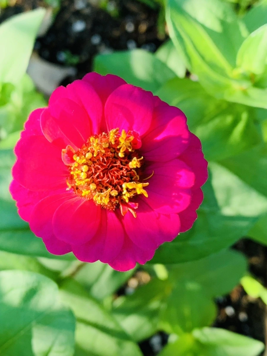 46Qmwm79SIRN-7eqfgZaHaVx5Oc