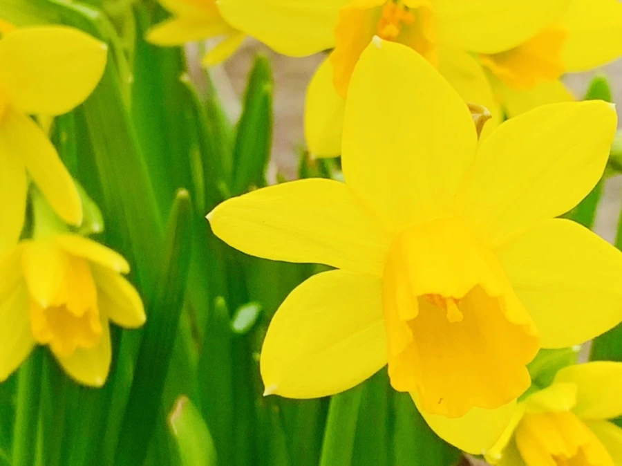 IMG_3467.jpg?type=w966