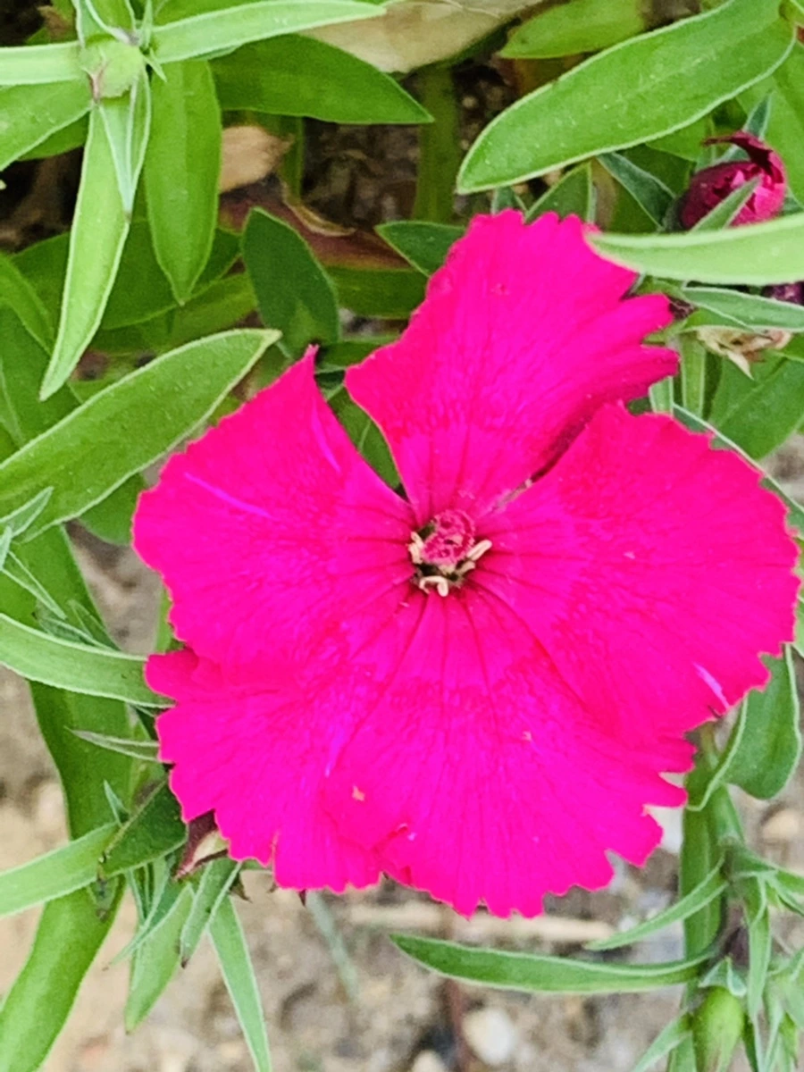 IMG_9026.jpg?type=w966