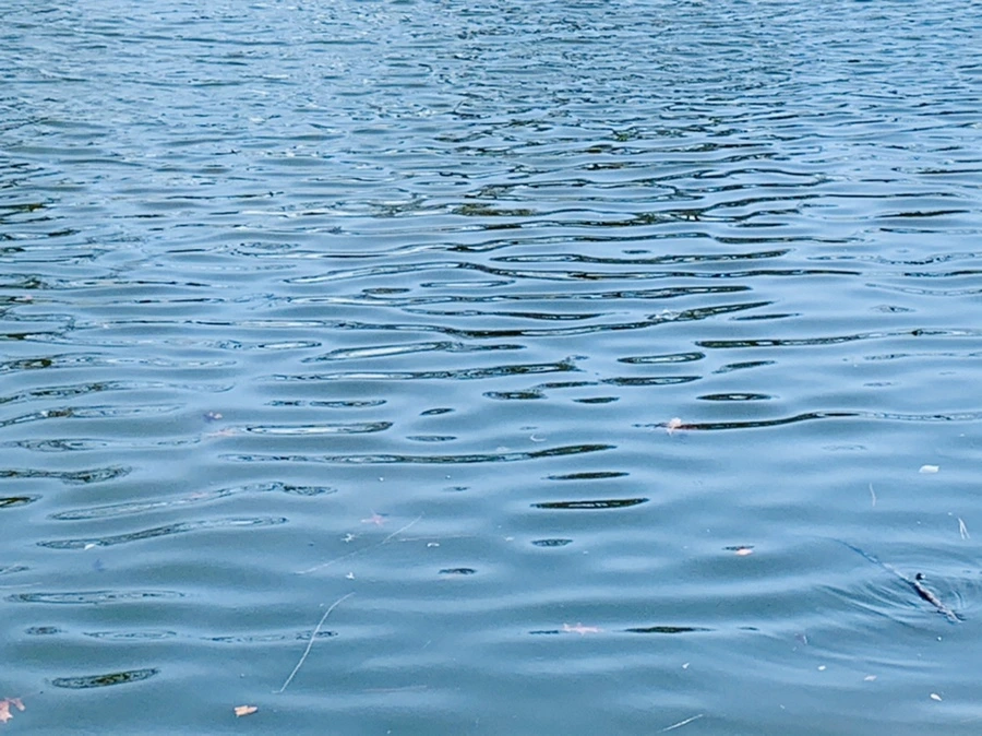 IMG_0024.jpg?type=w966