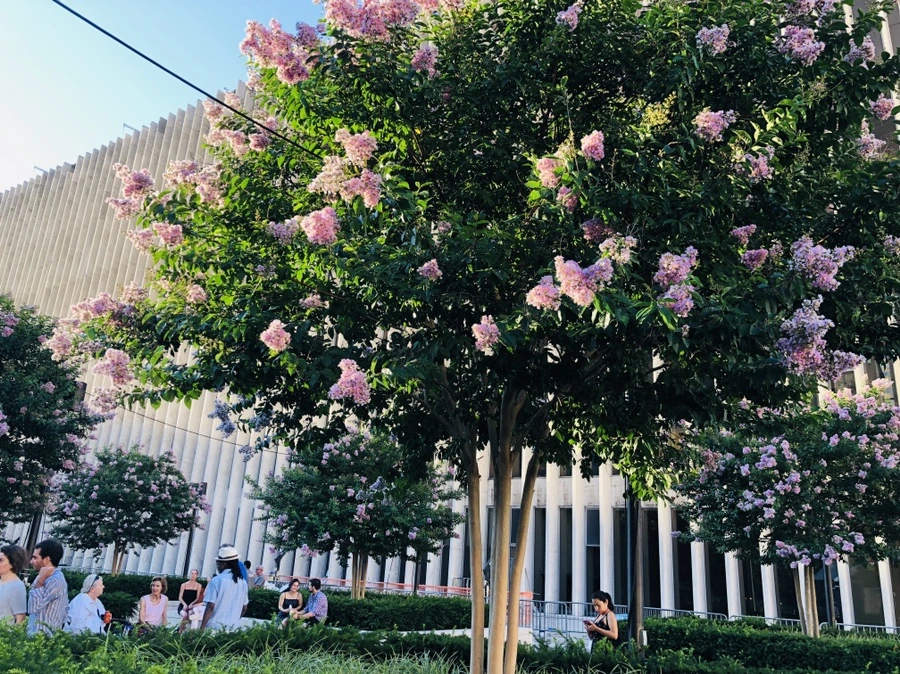 IMG_7410.jpg?type=w966