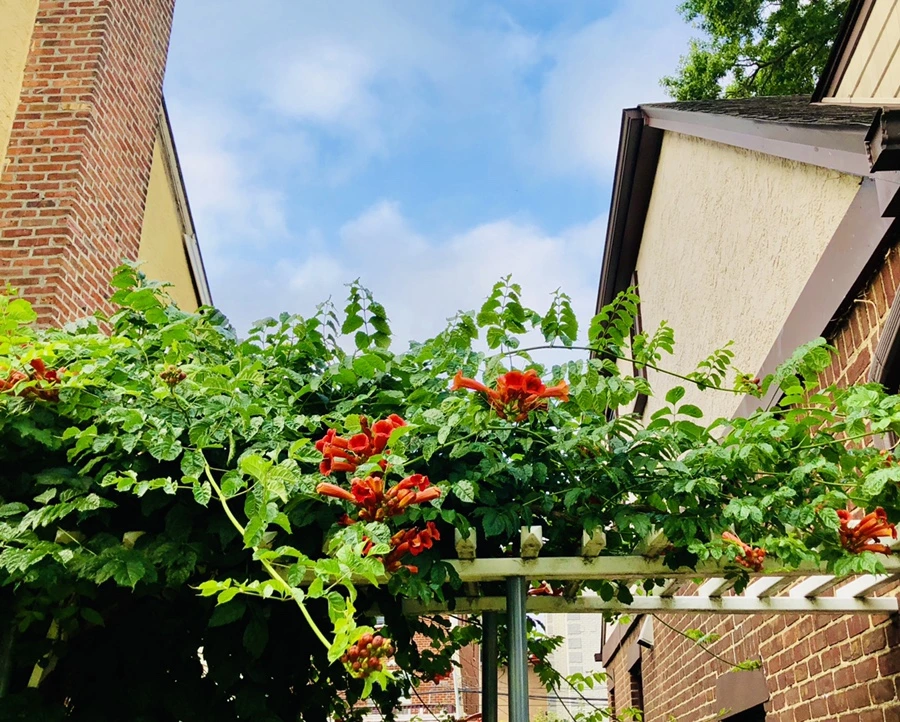 IMG_1322.jpg?type=w966