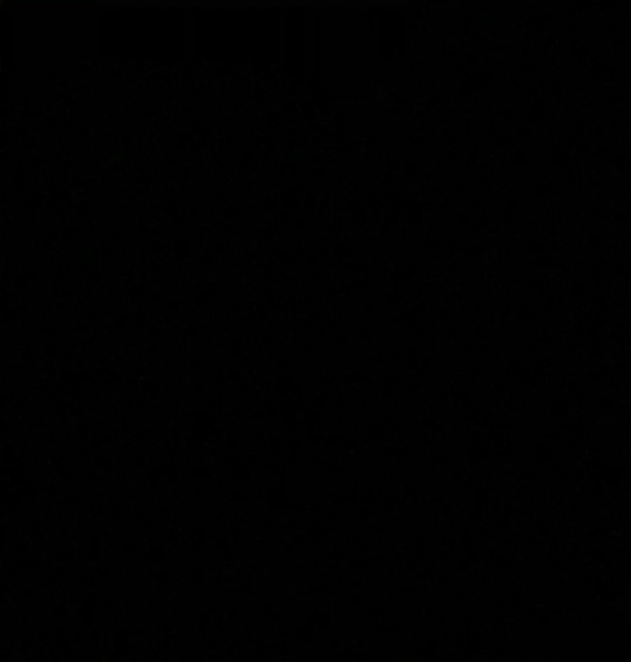 IMG_0153.jpg?type=w966