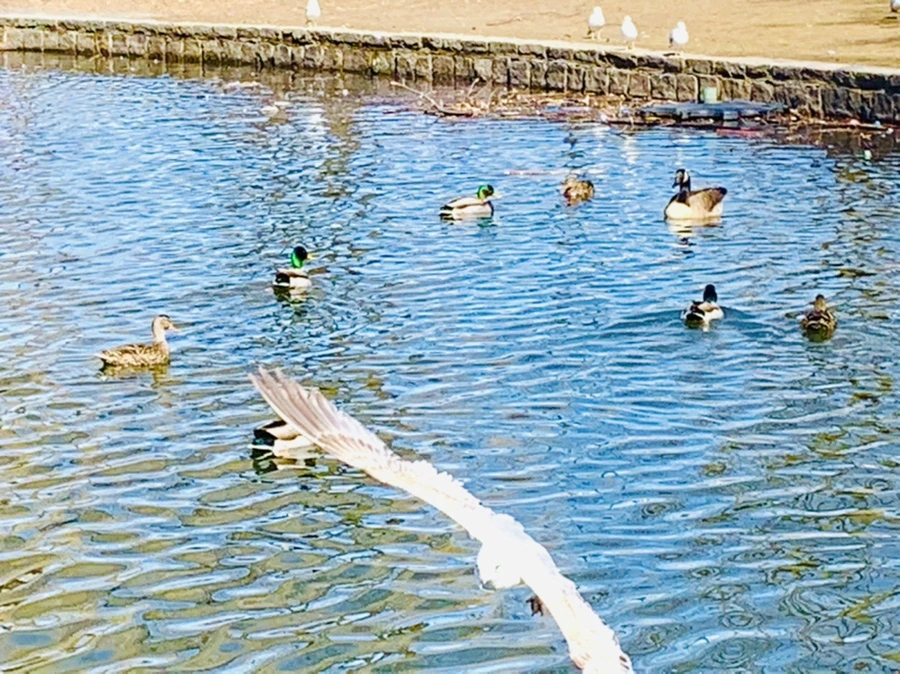 IMG_9318.jpg?type=w966