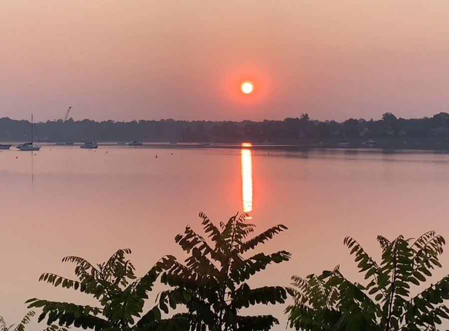 IMG_2004.jpg?type=w966