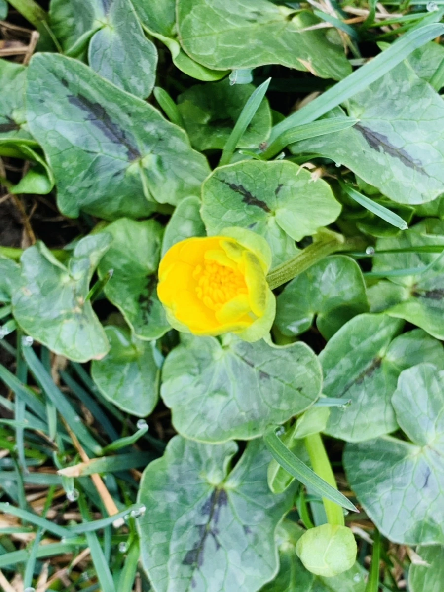 IMG_4030.jpg?type=w966